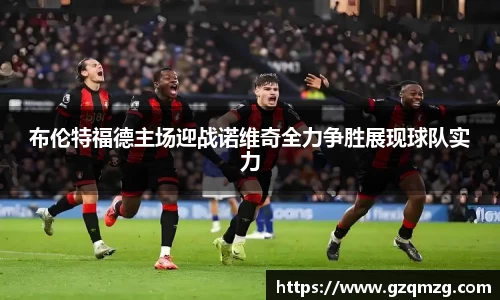 布伦特福德主场迎战诺维奇全力争胜展现球队实力