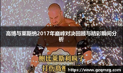 xc体育高博与莱斯纳2017年巅峰对决回顾与精彩瞬间分析